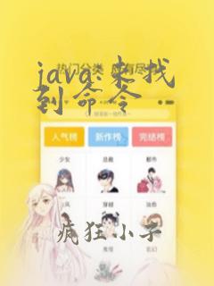 java:未找到命令