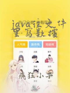 java往文件里写数据