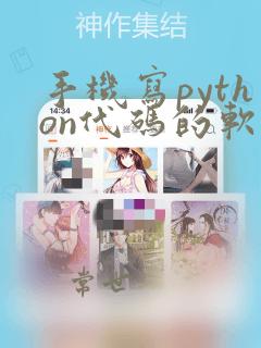 手机写python代码的软件