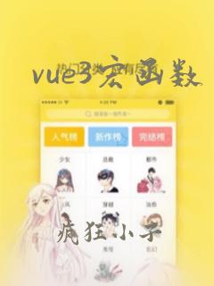 vue3宏函数