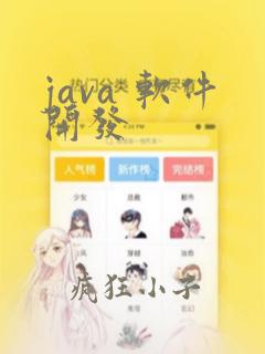 java 软件开发