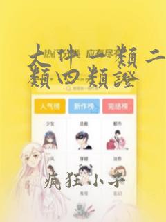 大件一类二类三类四类证