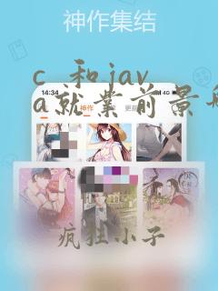 c  和java就业前景哪个好