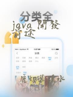 java 开发前途