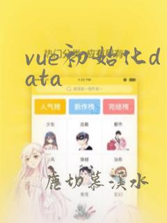 vue初始化data