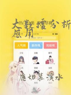大数据分析软件应用