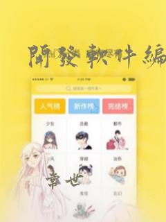 开发软件编程