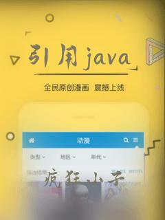 引用java
