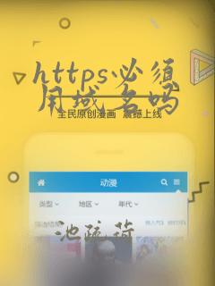 https必须用域名吗