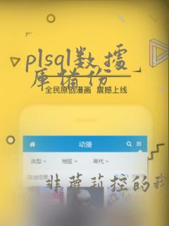 plsql数据库备份