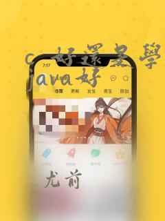 c  好还是学java好