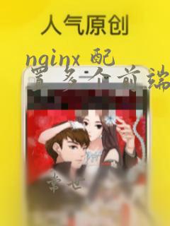 nginx 配置多个前端项目