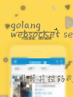 golang websocket server