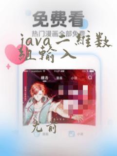 java二维数组输入