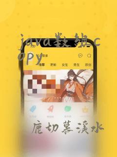 java数组copy