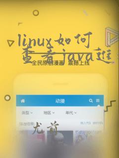linux如何查看java进程