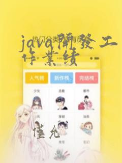 java开发工作业绩