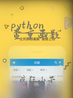 python 查重函数