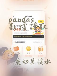 pandas 数据读取