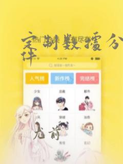 定制数据分析软件