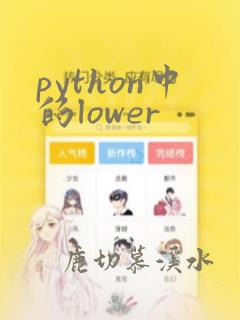 python中的lower