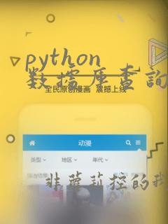 python 数据库查询