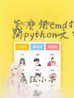 怎么用cmd打开python文件