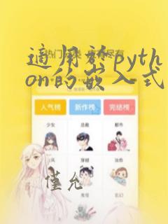 适用于python的嵌入式开发板