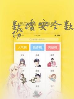 数据安全数据备份