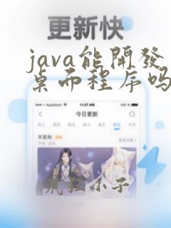 java能开发桌面程序吗