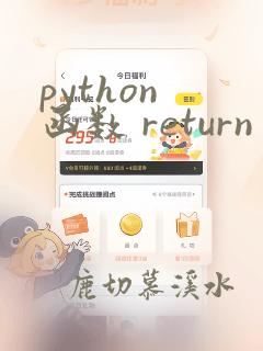 python 函数 return