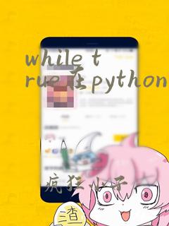 while true在python中怎么用