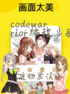 codewarrior编程步骤