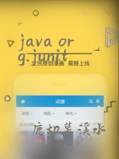 java org.junit