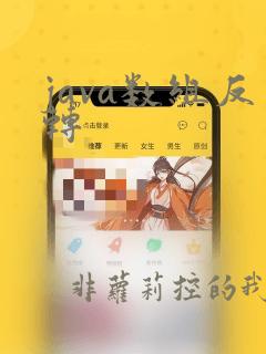 java数组反转
