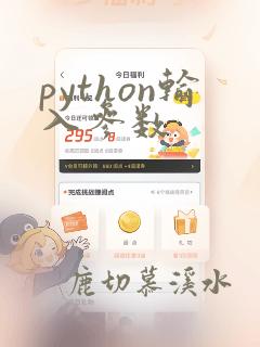 python输入参数