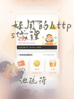 好用的https代理