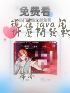 现在java用什么开发软件