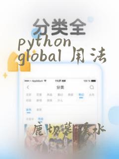python global 用法