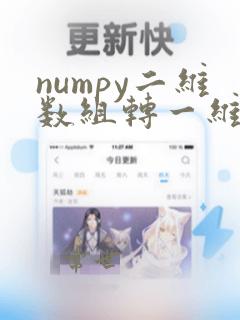 numpy二维数组转一维