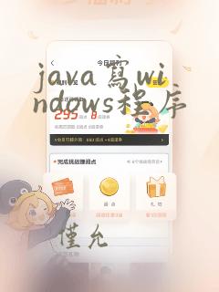 java写windows程序
