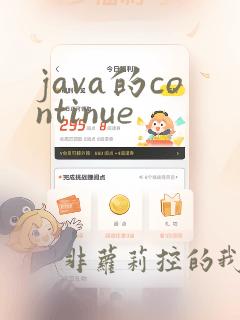 java的continue