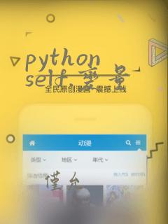 python self.变量