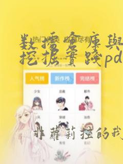数据仓库与数据挖掘实践pdf