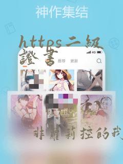 https二级证书