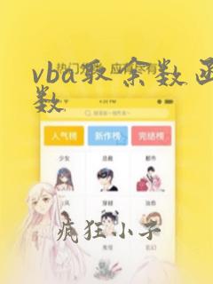 vba取余数函数