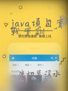 java项目实战实训