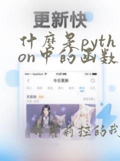 什么是python中的函数