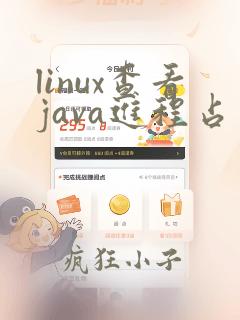 linux查看java进程占用内存