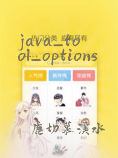 java_tool_options